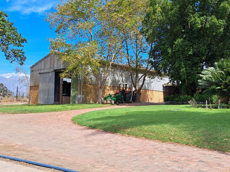 FINE RURAL LIVING - Photo 6
