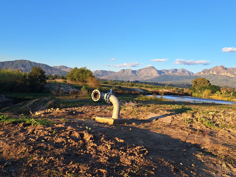 FINE RURAL LIVING - Photo 10