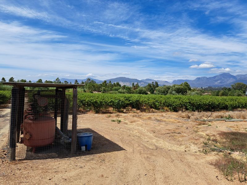 FINE RURAL LIVING - Photo 8