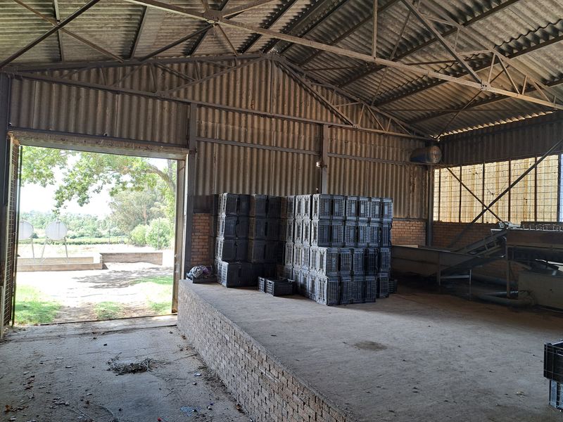 A large industrial utility shed featuring a raised brick loading platform, steel truss roofing, and an integrated conveyor system for agricultural operations.