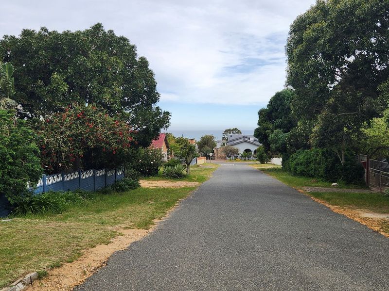 A view looking down a residential street lined with mature trees and boundary fencing, leading towards a distant coastal horizon.