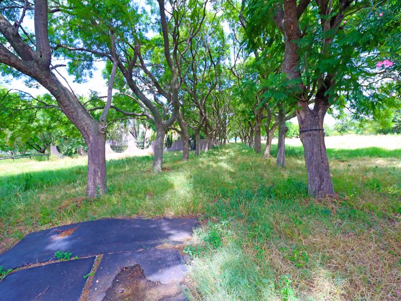 A large, tree-lined garden area featuring mature trees and a paved pathway, currently requiring landscaping and maintenance.
