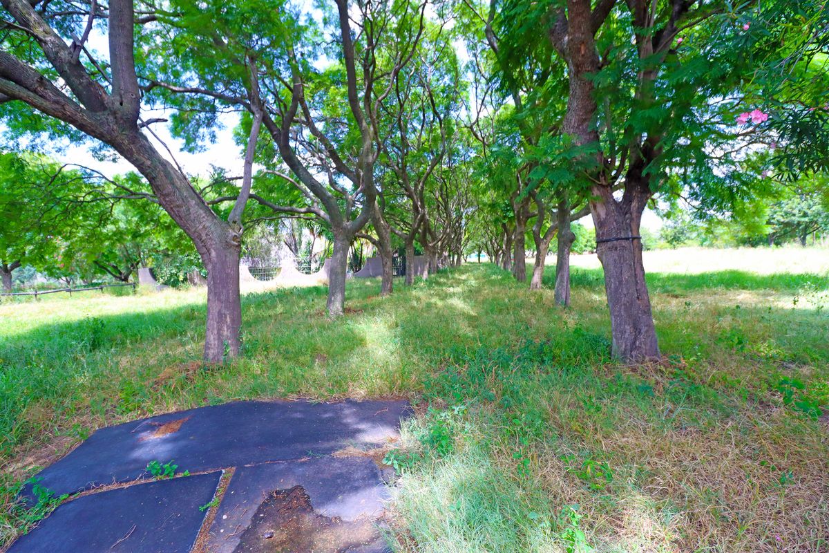 A property with incredible potential for those ready to dream big! 4.8 ha - Photo 4
