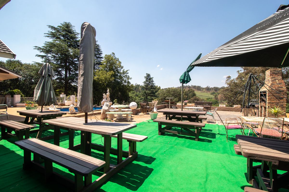 Extraordinary One-of-a-Kind Mountainside Sanctuary GEM with Endless Potential!!! - Photo 3