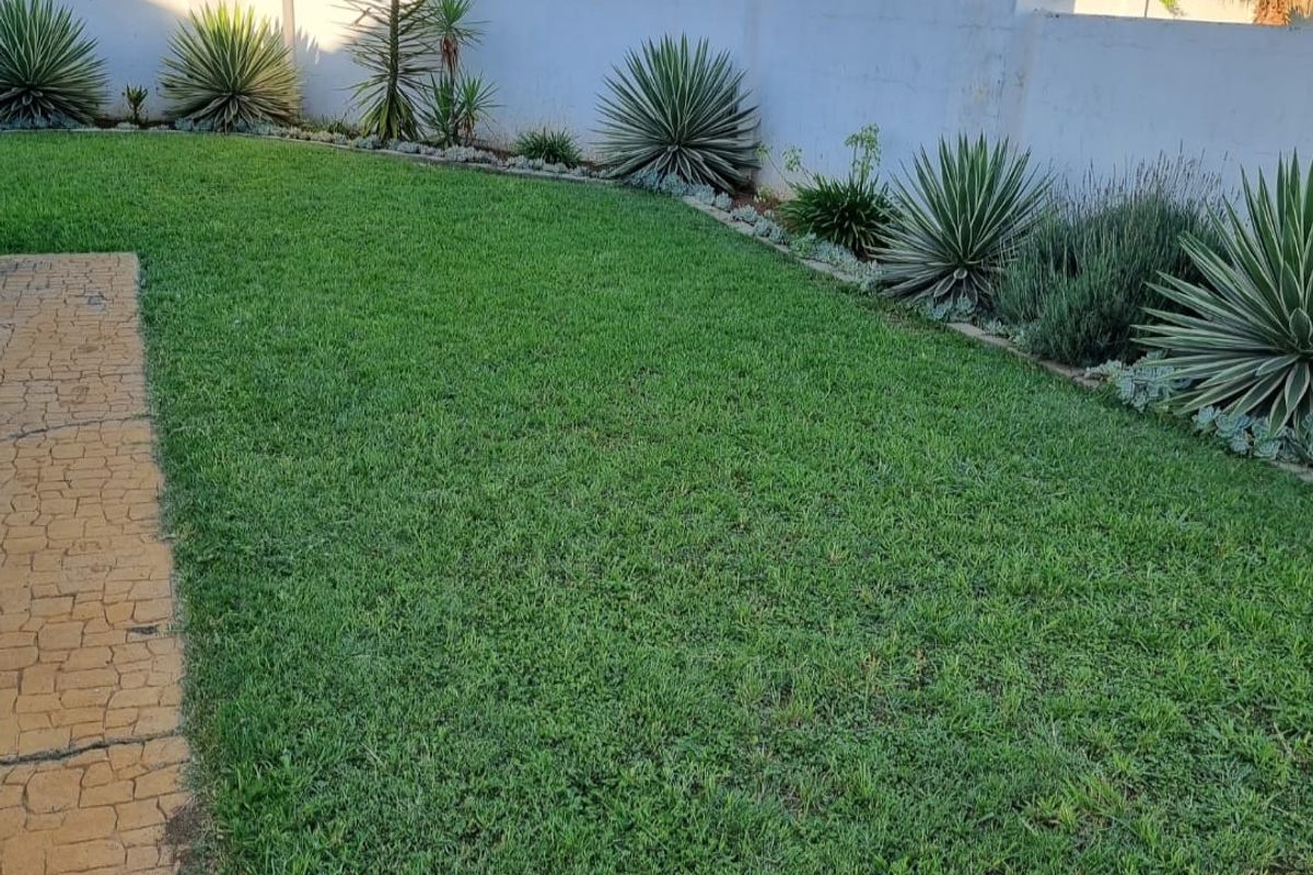 Charming 2 Bedroom Townhouse - Photo 3