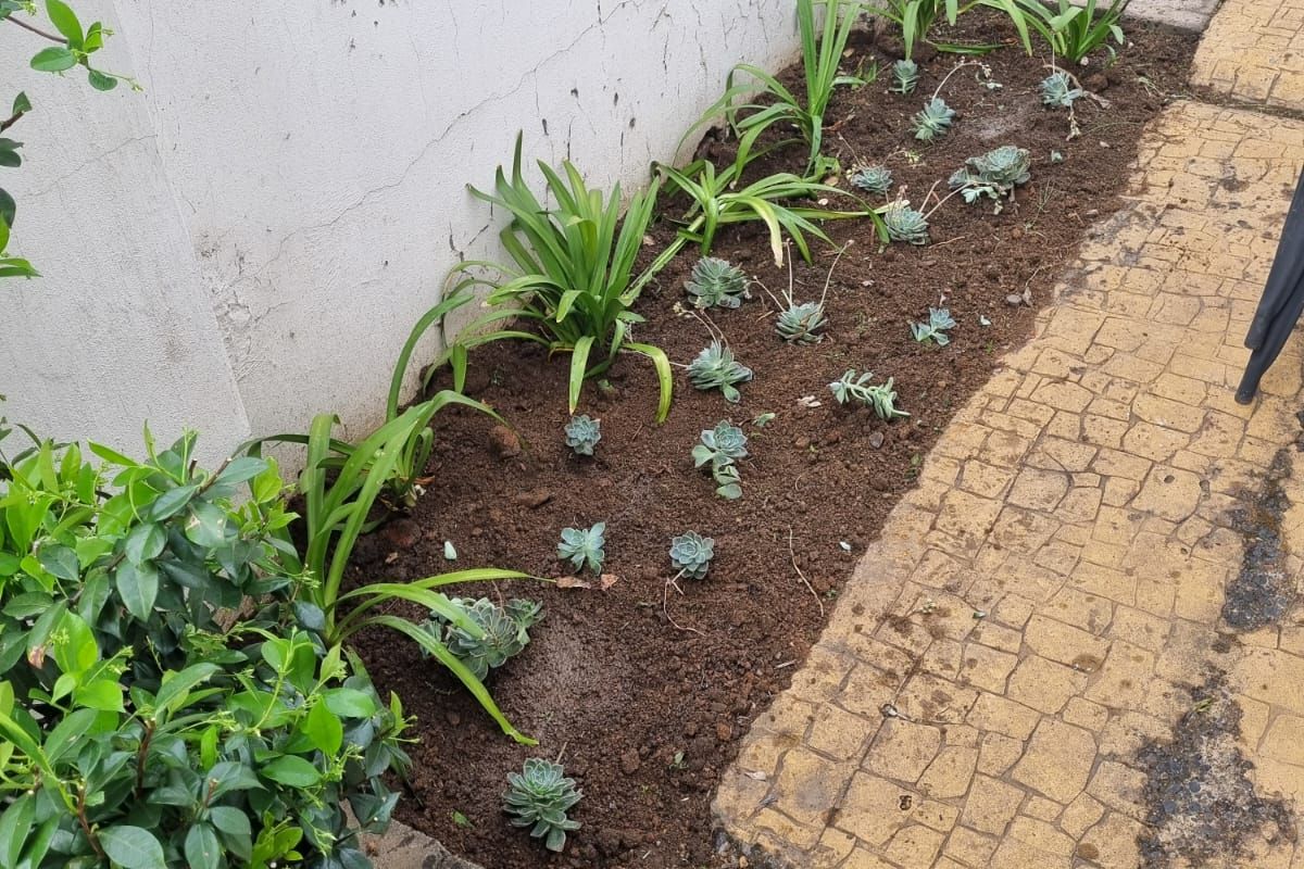 Charming 2 Bedroom Townhouse - Photo 4