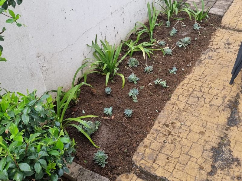 Charming 2 Bedroom Townhouse - Photo 4