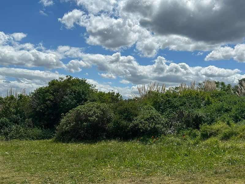 Find Your Serenity in the Heart of Hawston - Photo 7