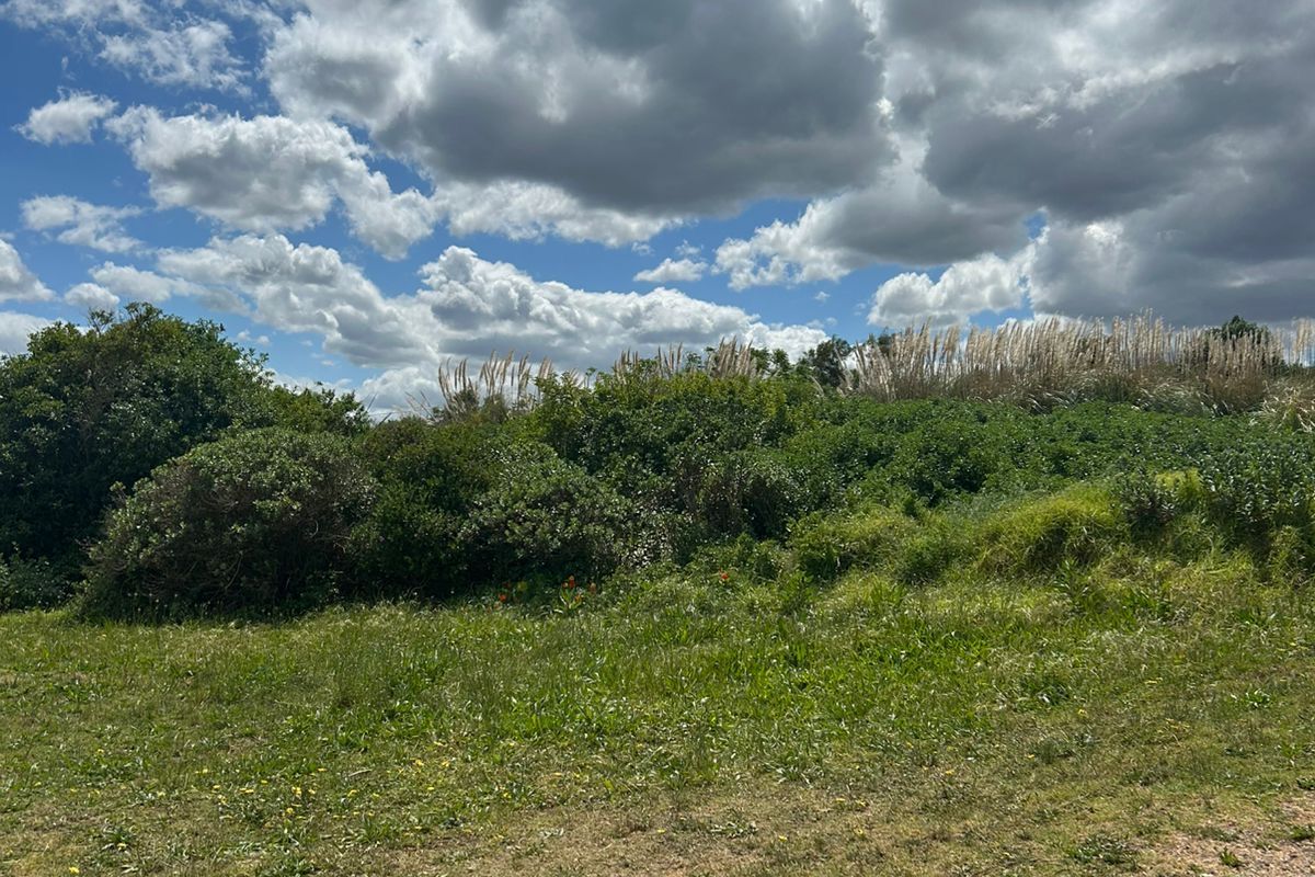 Find Your Serenity in the Heart of Hawston - Photo 3