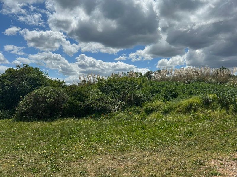 Find Your Serenity in the Heart of Hawston - Photo 3