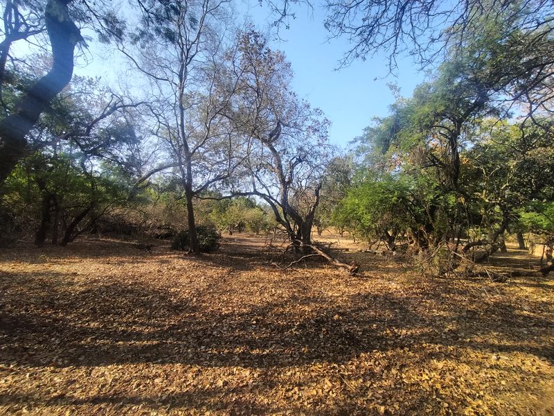 The Perfect Canvas for Your Next Signature Development - Photo 3