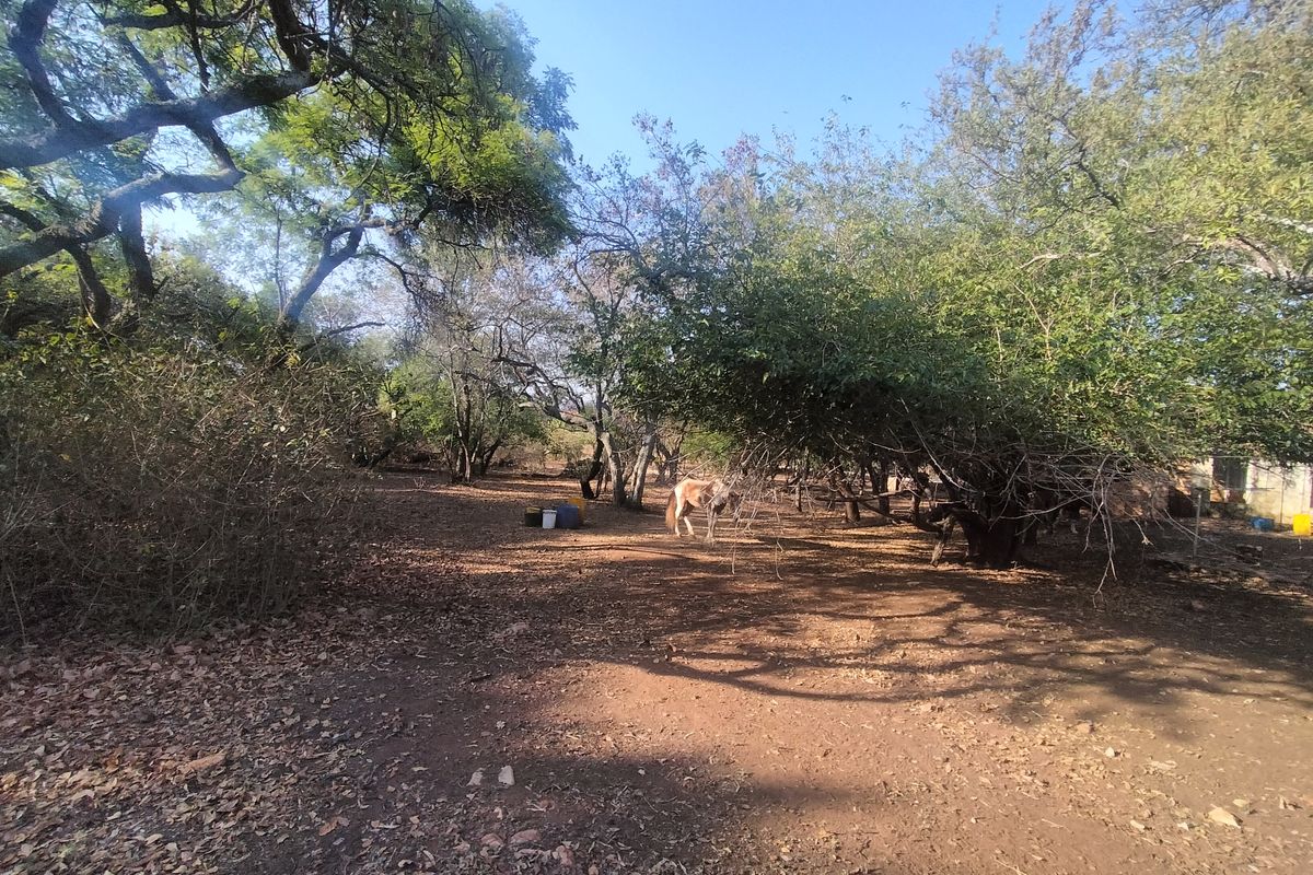 The Perfect Canvas for Your Next Signature Development - Photo 4