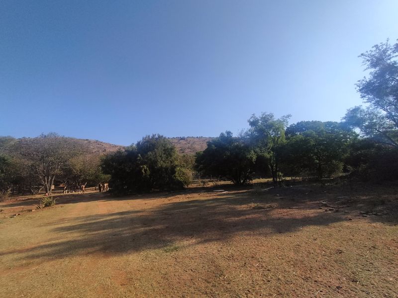 The Perfect Canvas for Your Next Signature Development - Photo 9