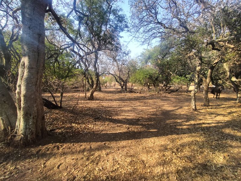 The Perfect Canvas for Your Next Signature Development - Photo 7