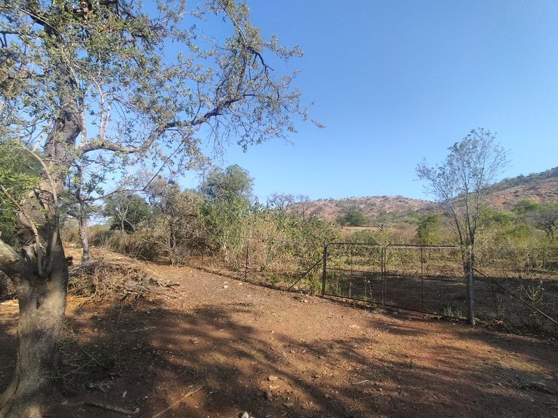 The Perfect Canvas for Your Next Signature Development - Photo 6