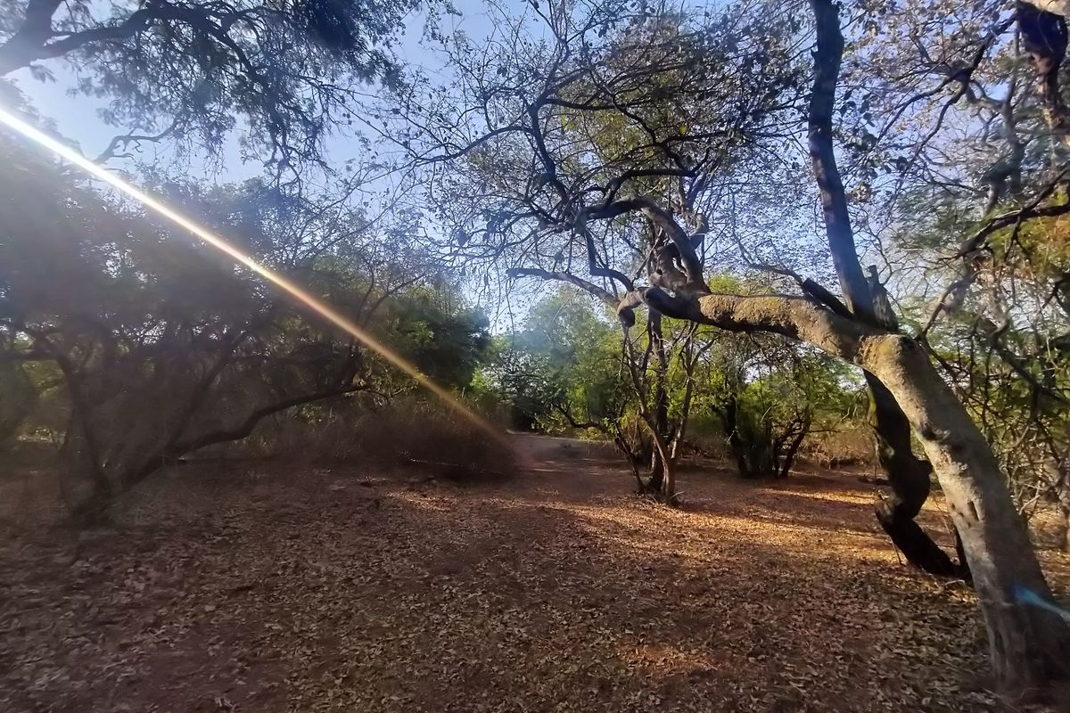 The Perfect Canvas for Your Next Signature Development - Photo 5