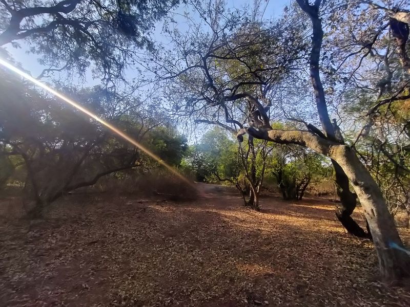 The Perfect Canvas for Your Next Signature Development - Photo 5