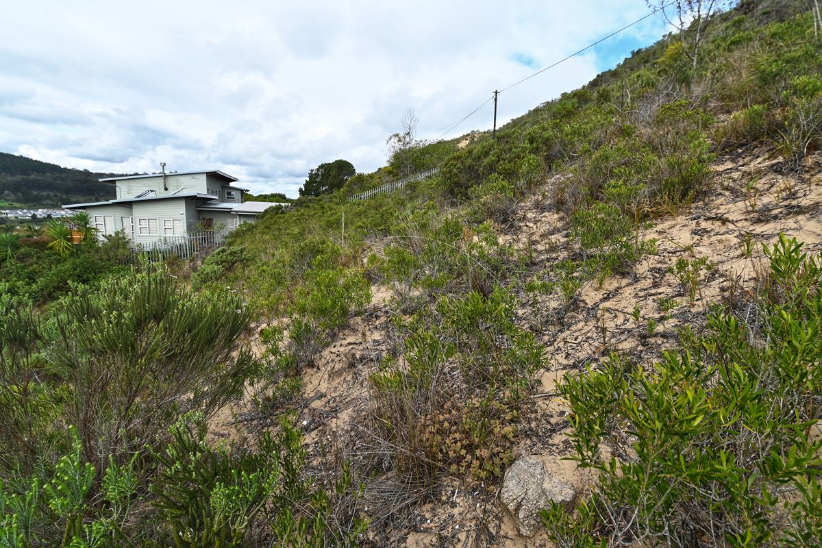 A view of the sloped, naturally vegetated rear section of the residential property, showing the adjacent dwelling and existing boundary fencing.
