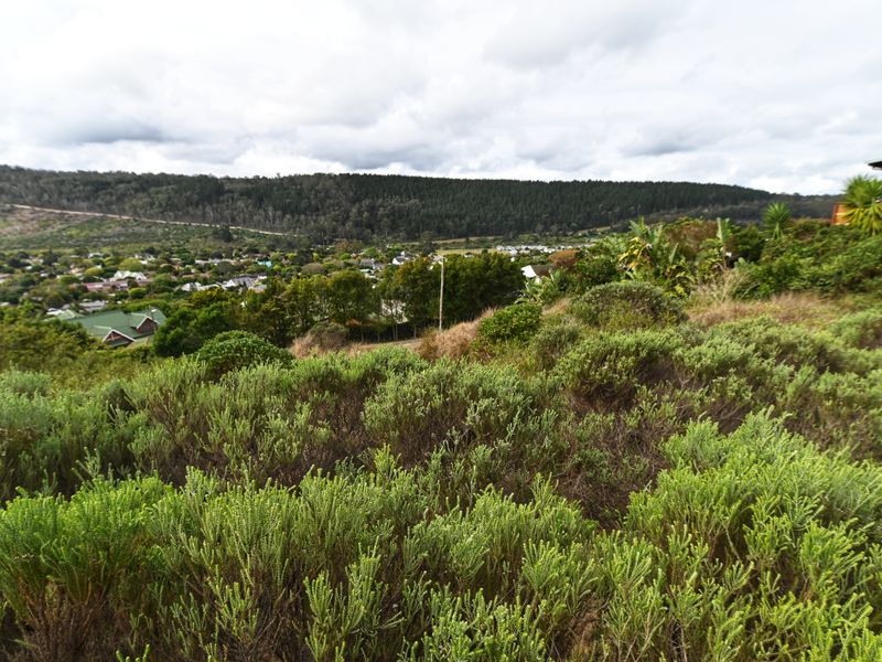 Build Your Forever-Holiday Home - Exclusive Mandate! - Photo 6