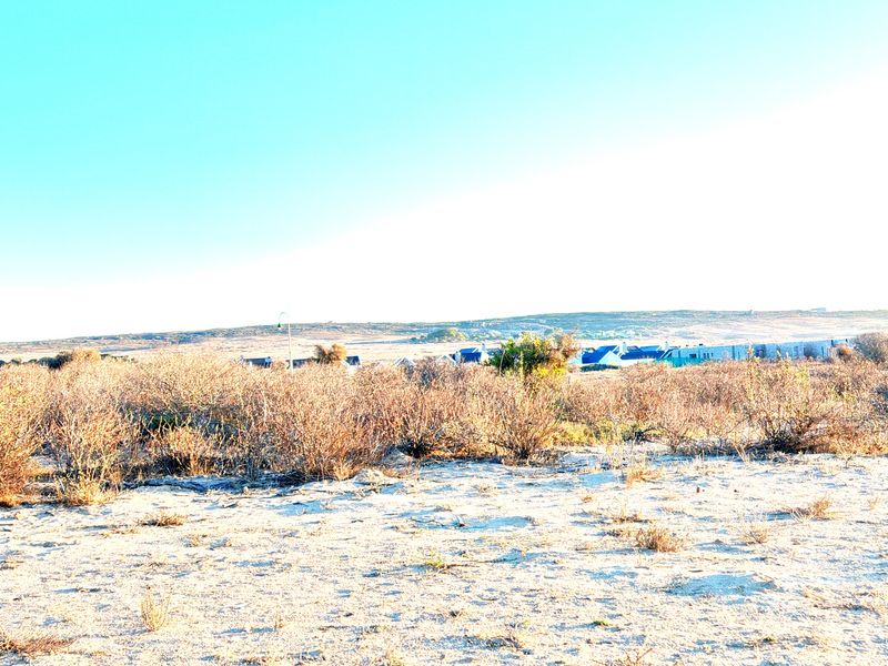 Nature-Facing Vacant Stand for Your Future Home - Photo 5