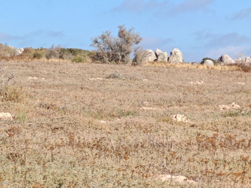 Elevated Plot with Lagoon and Greenbelt Views - Photo 6