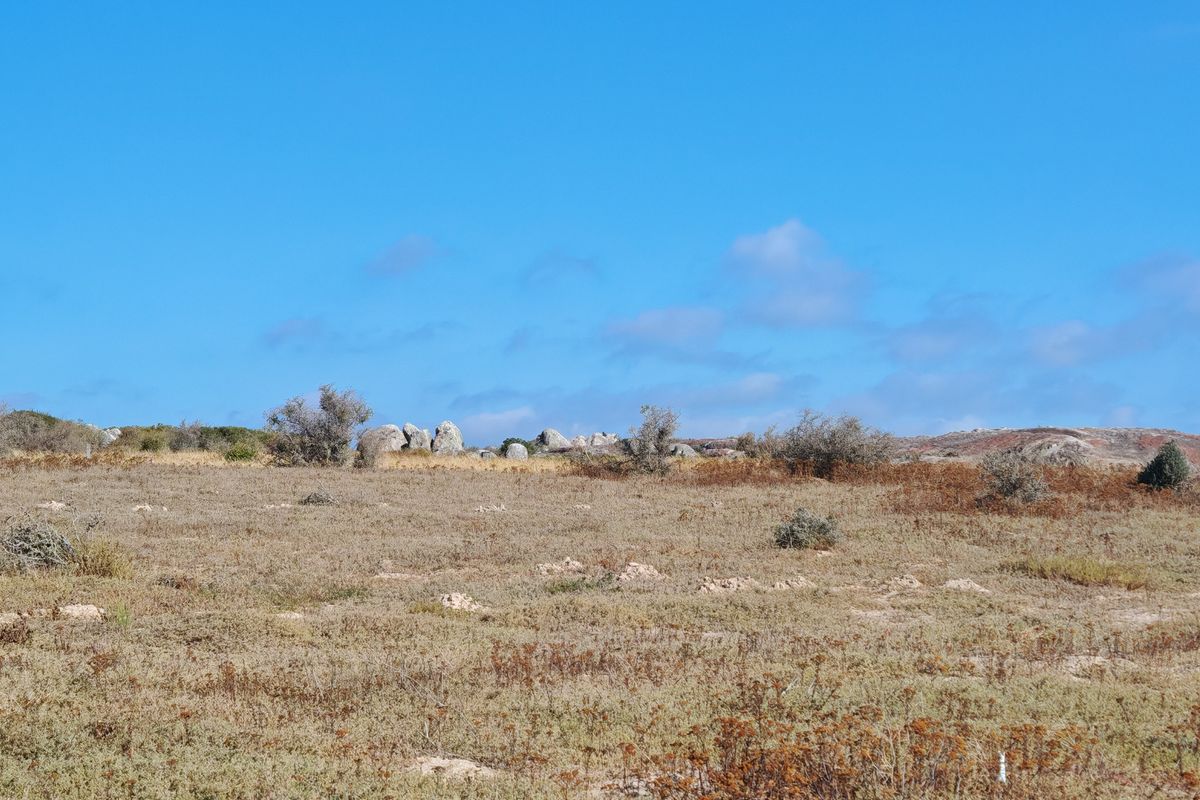 Elevated Plot with Lagoon and Greenbelt Views - Photo 5