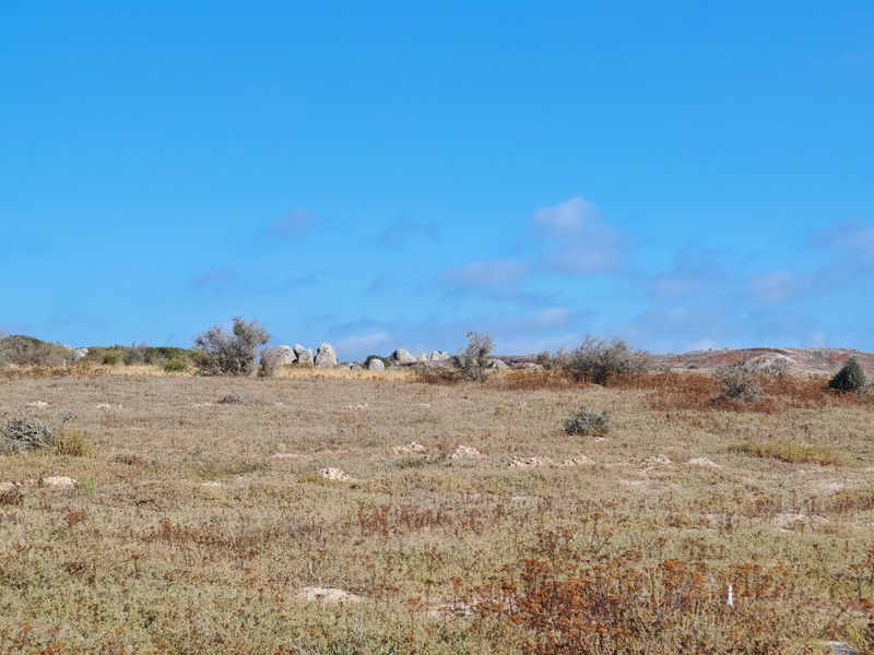 Elevated Plot with Lagoon and Greenbelt Views - Photo 5
