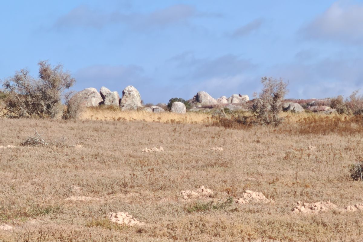 Elevated Plot with Lagoon and Greenbelt Views - Photo 2