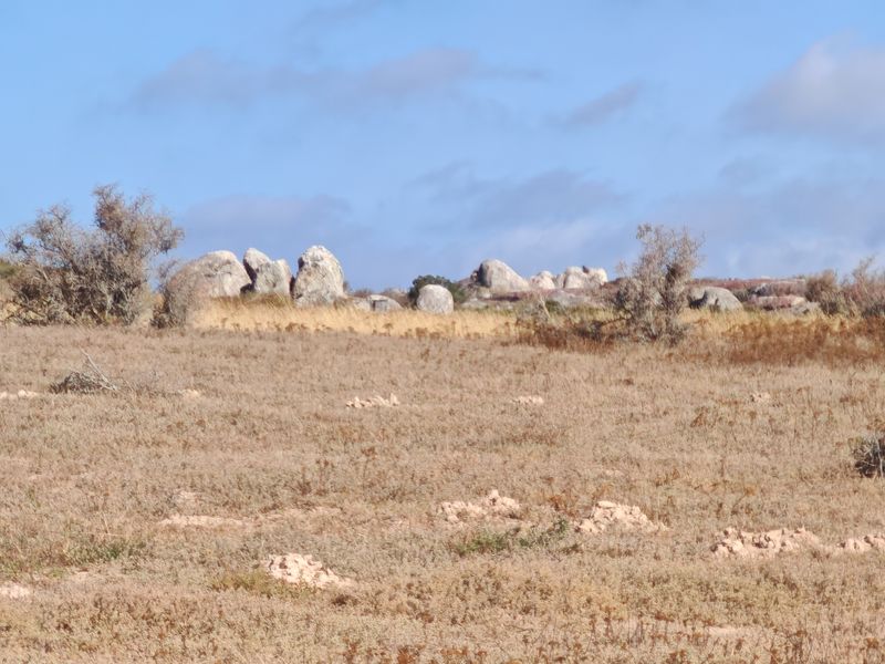 Elevated Plot with Lagoon and Greenbelt Views - Photo 3