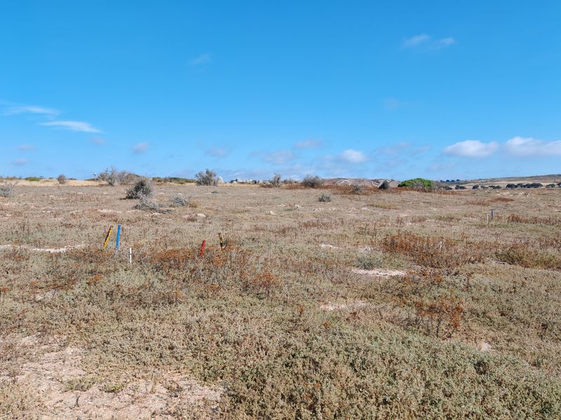 Elevated Plot with Lagoon and Greenbelt Views - Photo 10