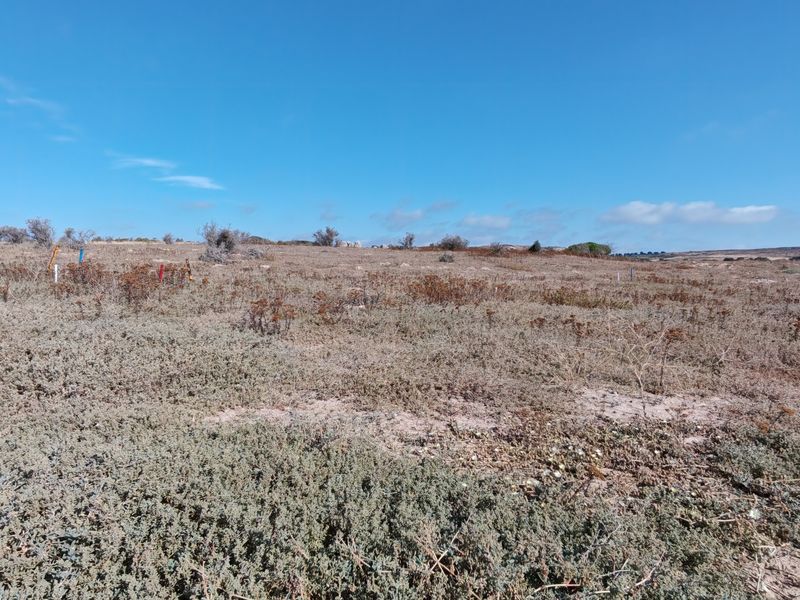 Elevated Plot with Lagoon and Greenbelt Views - Photo 9