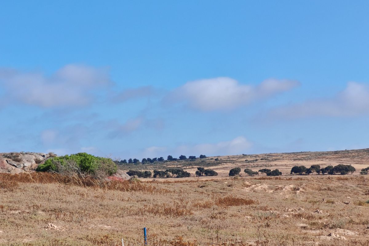 Elevated Plot with Lagoon and Greenbelt Views - Photo 4