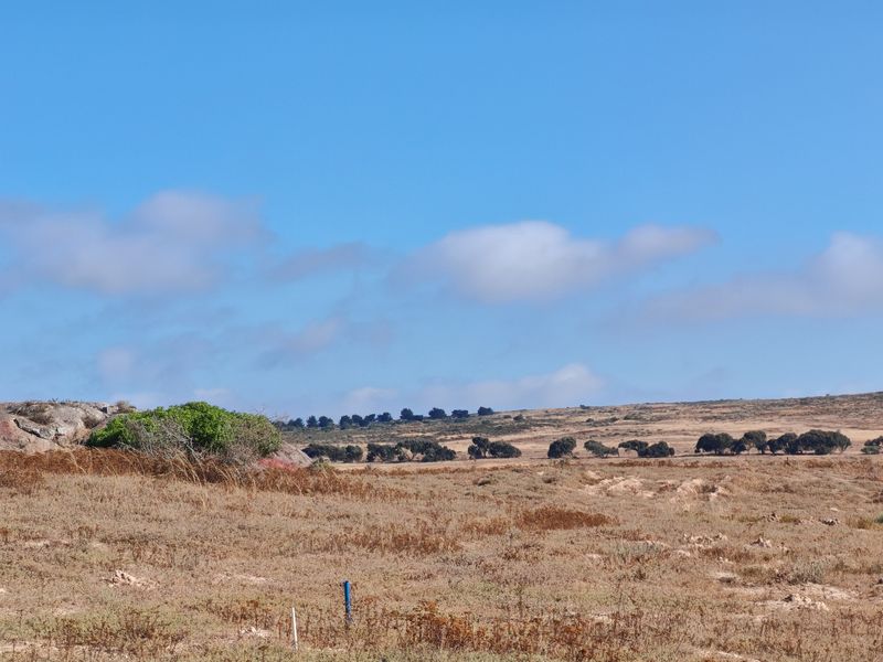Elevated Plot with Lagoon and Greenbelt Views - Photo 2