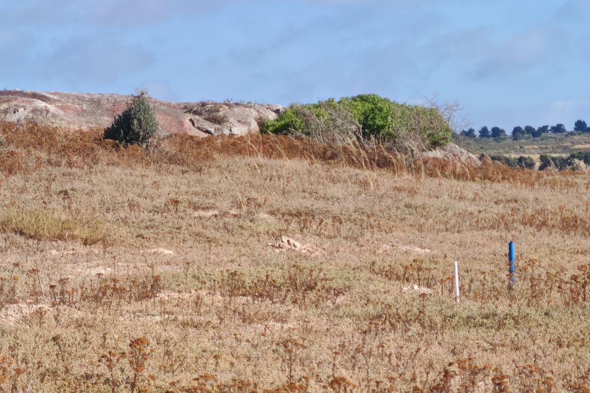 Elevated Plot with Lagoon and Greenbelt Views - Photo 3