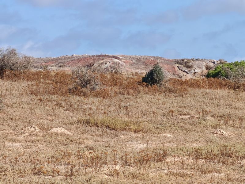 Elevated Plot with Lagoon and Greenbelt Views - Photo 4