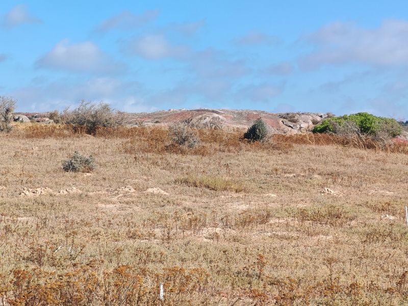Elevated Plot with Lagoon and Greenbelt Views - Photo 7