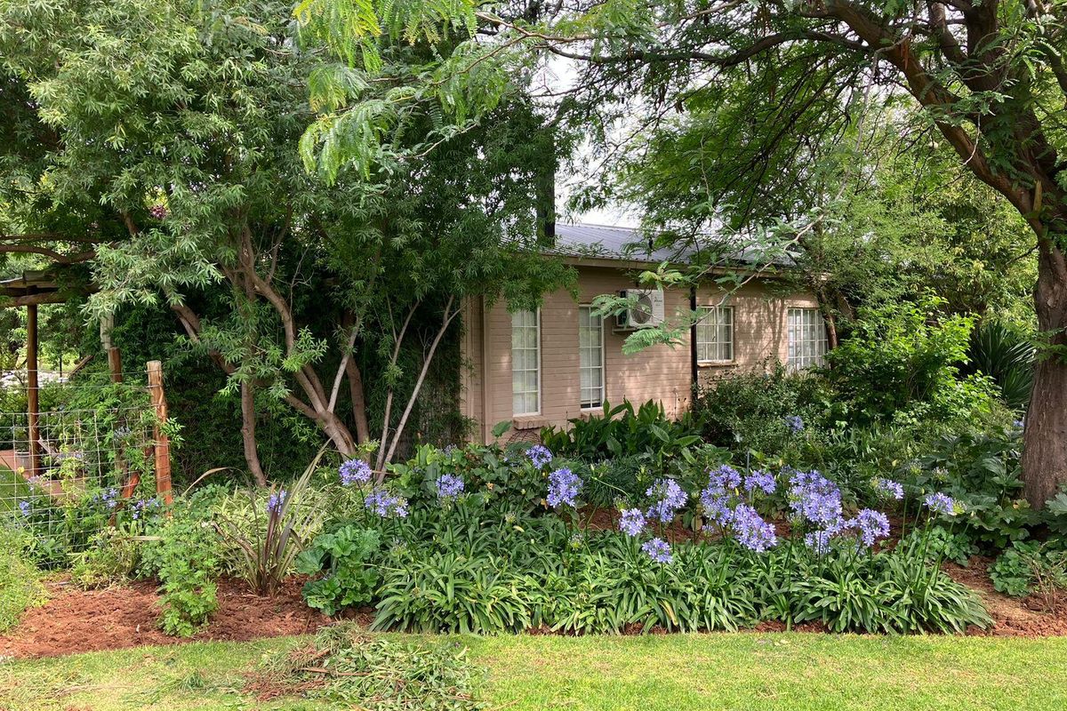 21.41 Hectare Pecan nut Smallholding in Bainsvlei - Photo 3