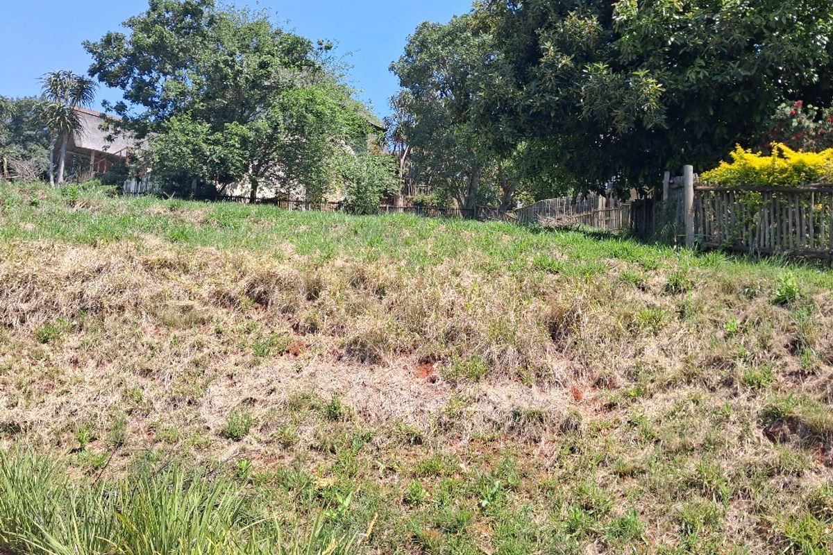 A sloped residential vacant land plot featuring established trees and wooden perimeter fencing, offering a natural setting for future development.