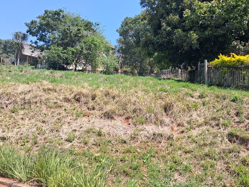 A sloped residential vacant land plot featuring established trees and wooden perimeter fencing, offering a natural setting for future development.