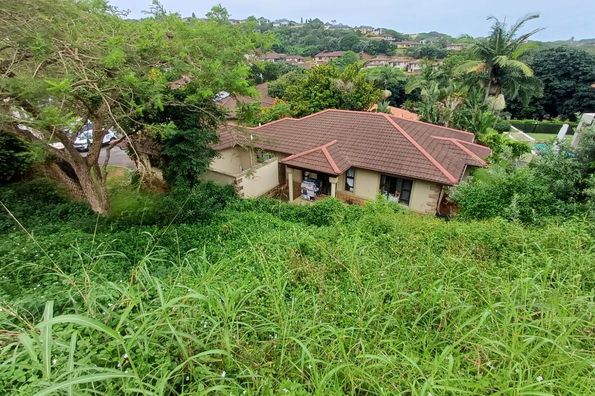 An elevated view of a residential property featuring a tiled roof, surrounded by lush, overgrown vegetation and established trees in a suburban setting.