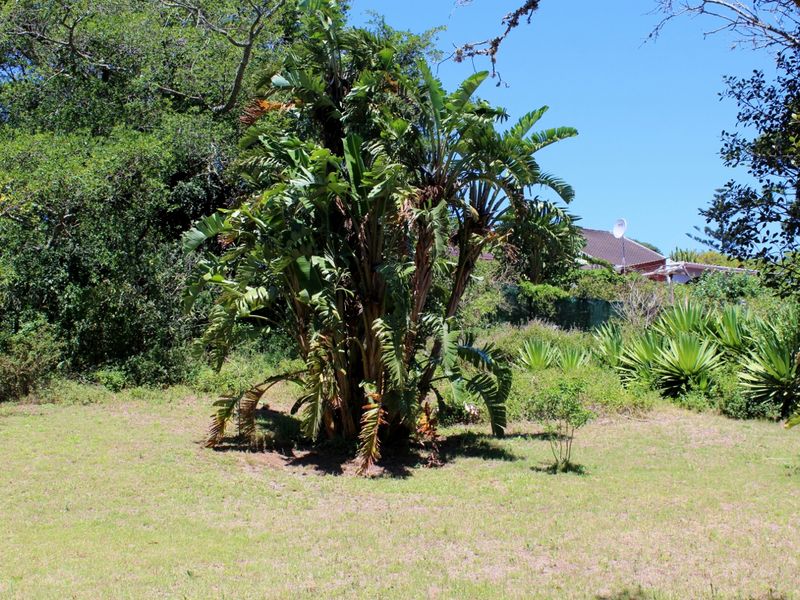 Plot Offering Space, Character and Convenience in Port Alfred - Photo 7