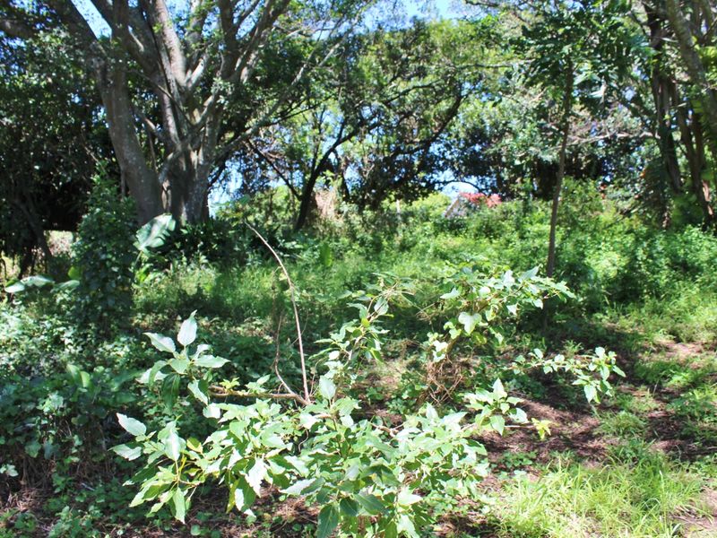 Plot Offering Space, Character and Convenience in Port Alfred - Photo 10