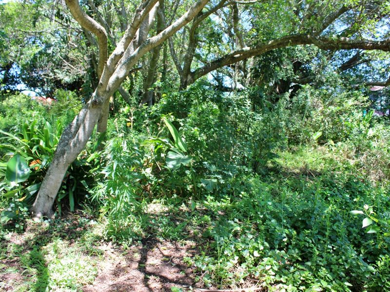 Plot Offering Space, Character and Convenience in Port Alfred - Photo 10
