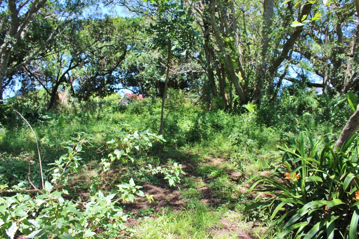 Plot Offering Space, Character and Convenience in Port Alfred - Photo 5