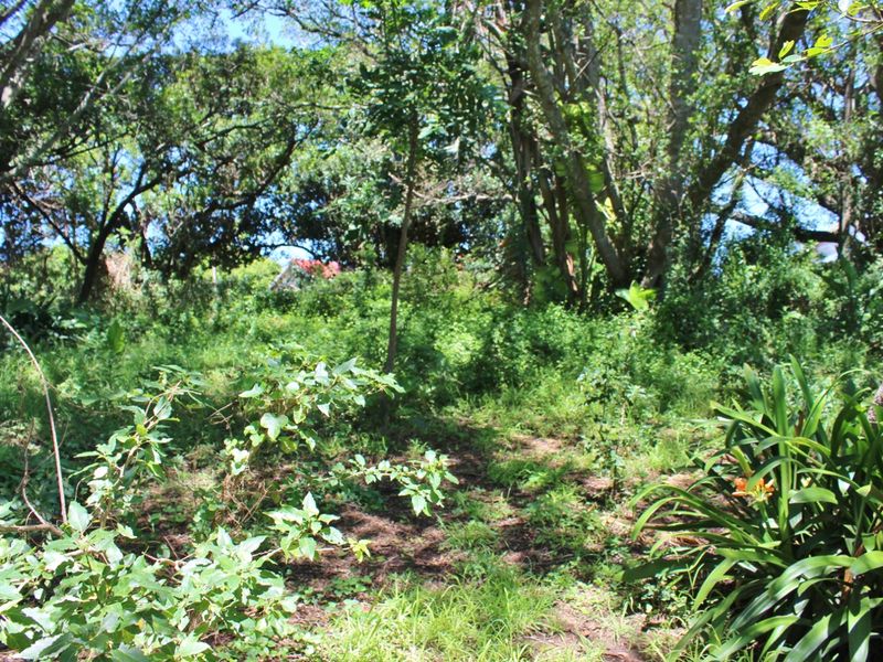 Plot Offering Space, Character and Convenience in Port Alfred - Photo 5