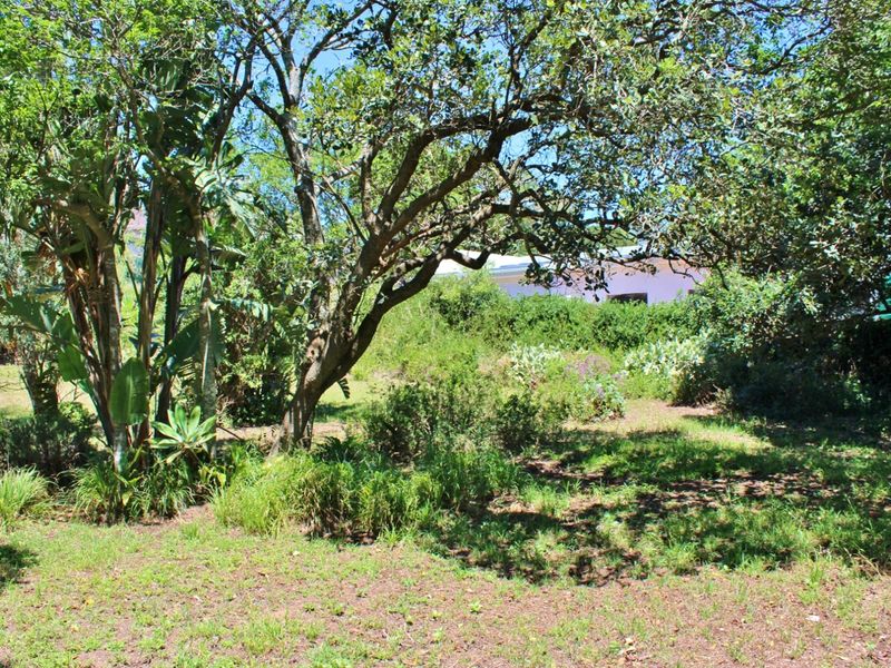 Plot Offering Space, Character and Convenience in Port Alfred - Photo 9
