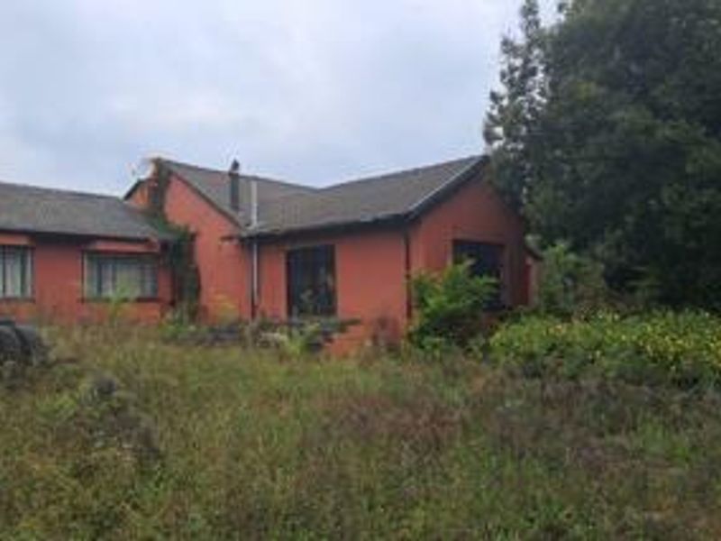 Versatile 0.86 ha Smallholding | 4-Bed Residence | Prime Midrand Node - Photo 5