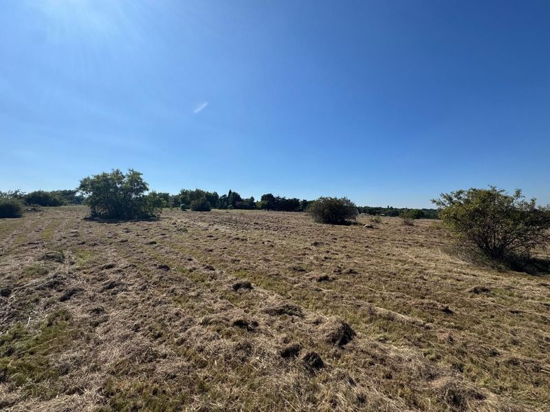 A wide-angle view of a vacant residential plot featuring cleared grass and scattered native shrubs under a clear blue sky.