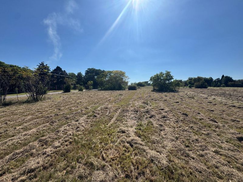 A wide-angle view of a vacant residential plot featuring cleared grassland and mature trees under a clear blue sky.