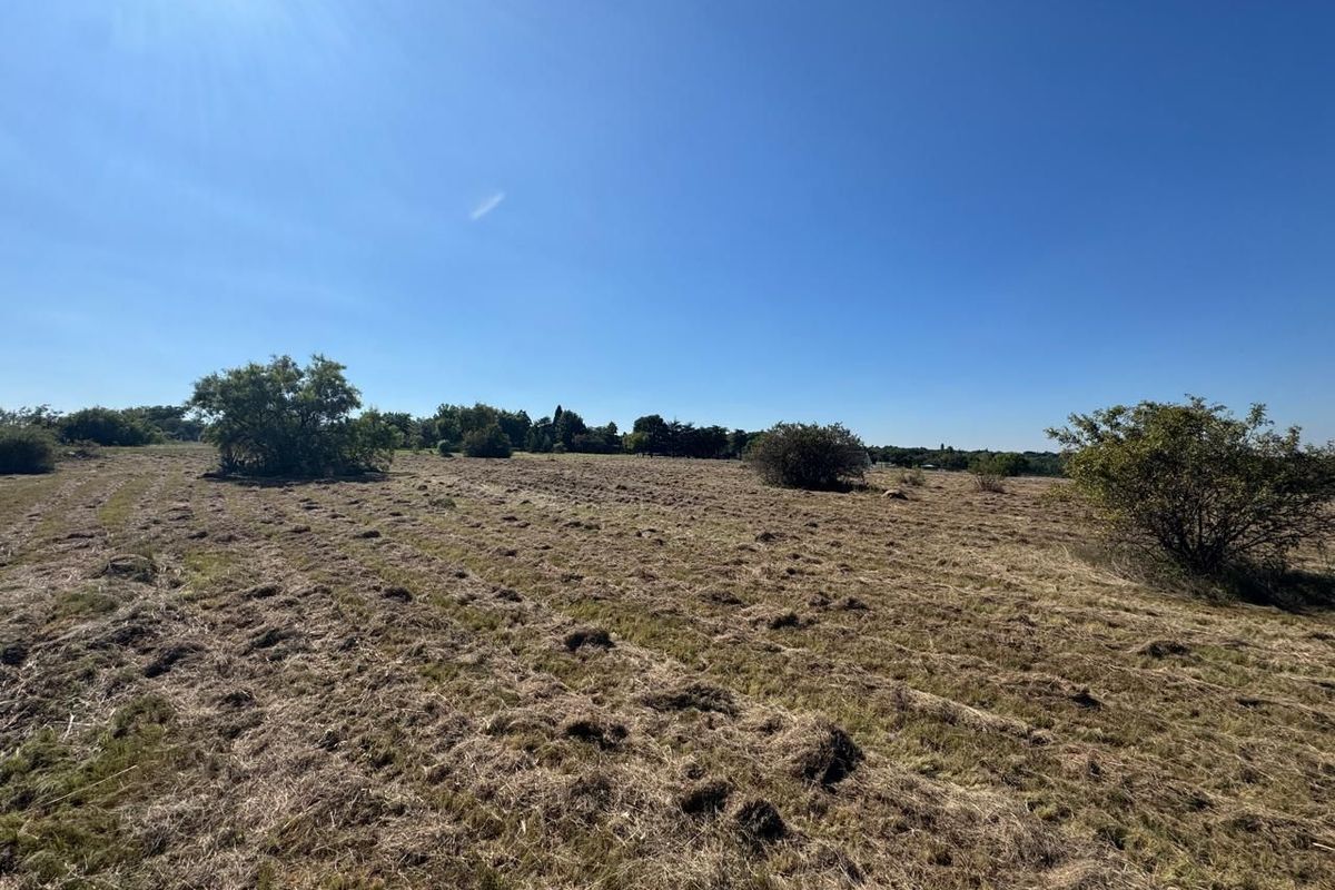 A wide-angle view of a vacant residential plot featuring cleared grass and scattered native shrubs under a clear blue sky.